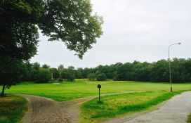 11807332_10153557857343783_202691877255877364_o