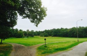 11807332_10153557857343783_202691877255877364_o